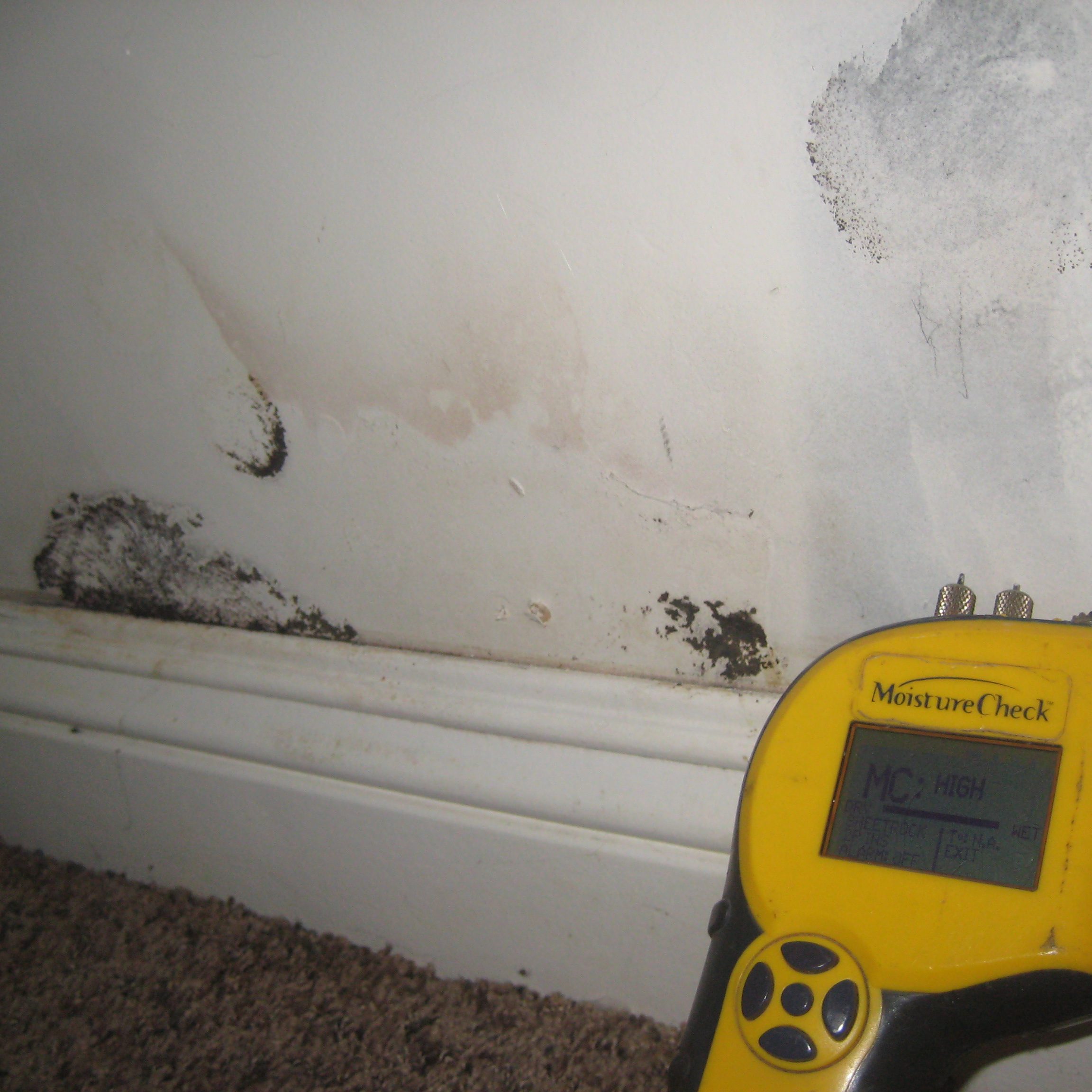 moisture-content-drywall